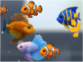 Evo Fishy̋̃}[WuQ[z